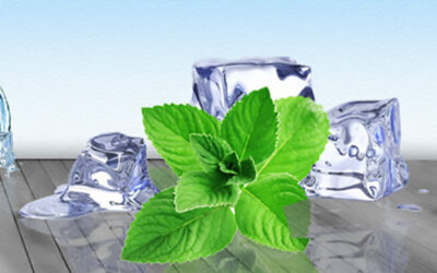 منتول کریستال ؛ محصولی همه کاره و بی نظیر از نعناع