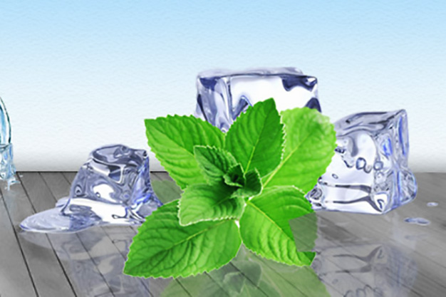 منتول کریستال ؛ محصولی همه کاره و بی نظیر از نعناع