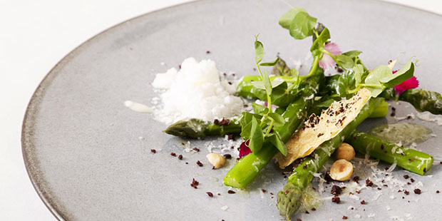 زانتان گام در دستورات پخت